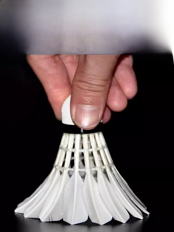 Pluma de bádminton profesional - Badminton Shuttlecock reseña y precio